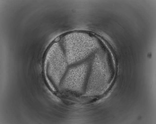 X0000094181212200711241545