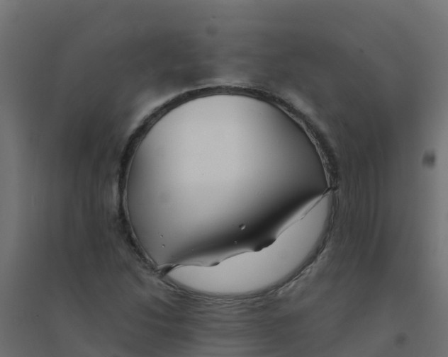 X0000094181214200711241545
