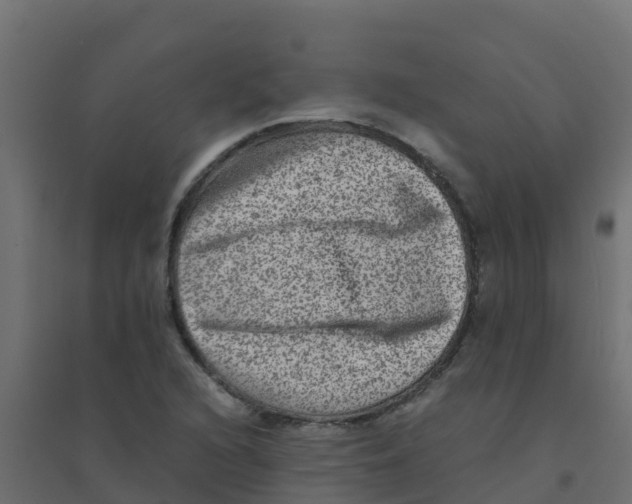 X0000094181216200711241545