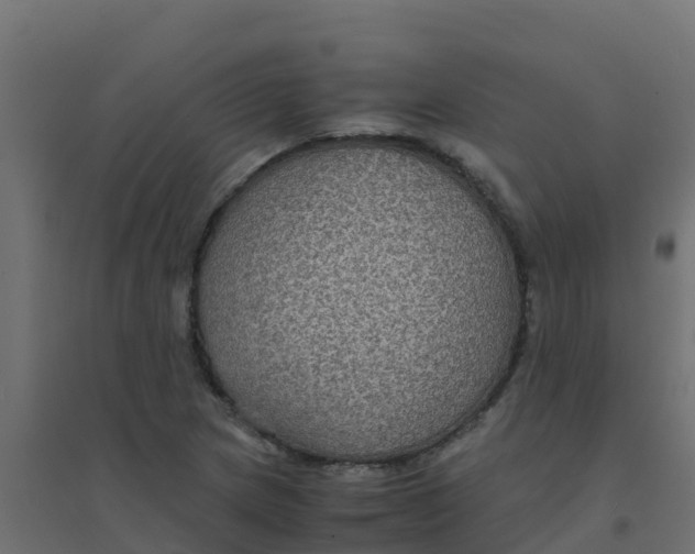 X0000094181217200711241545