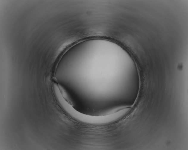 X0000094181218200711241545