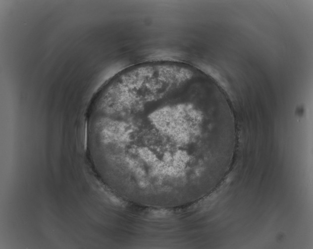 X0000094181219200711241545