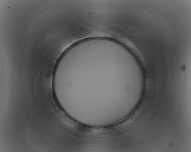 X0000094181220200711241545
