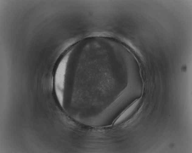 X0000094181221200711241545
