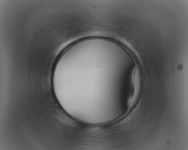 X0000094181222200711241545