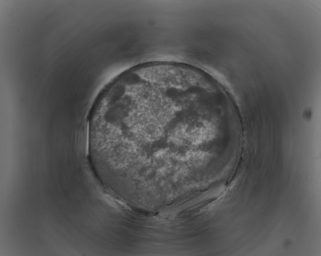 X0000094181223200711241545