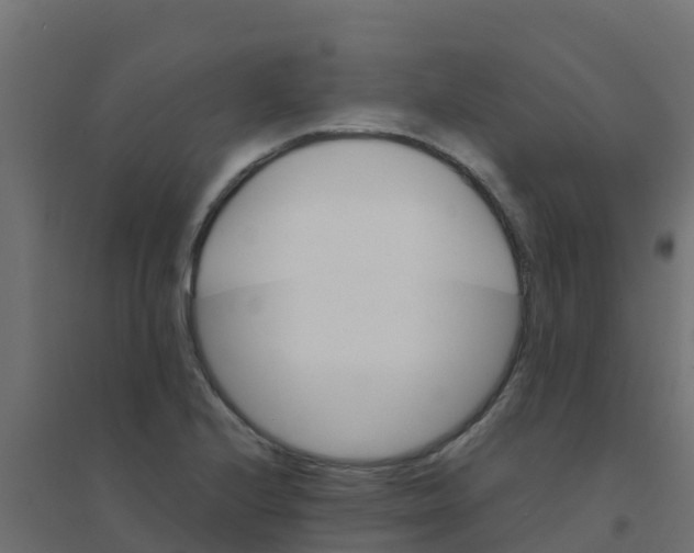 X0000094181224200711241545