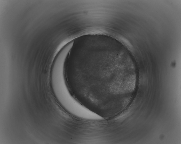 X0000094181226200711241545