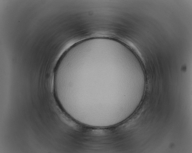 X0000094181227200711241546
