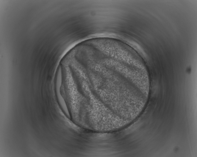 X0000094181228200711241546
