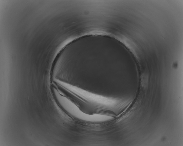X0000094181229200711241546