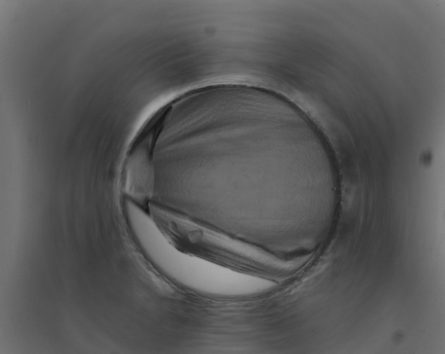 X0000094181230200711241546