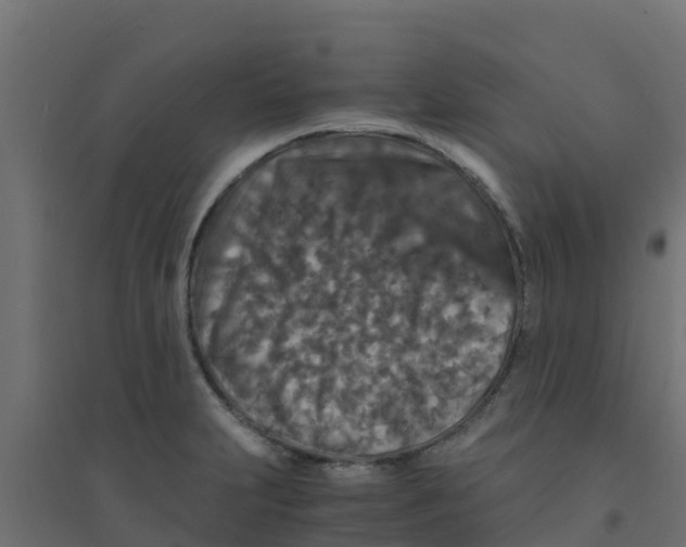 X0000094181231200711241546