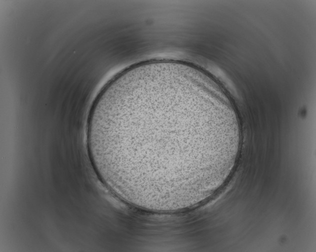 X0000094181232200711241546