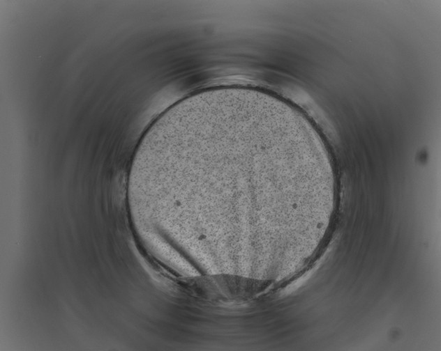 X0000094181233200711241546