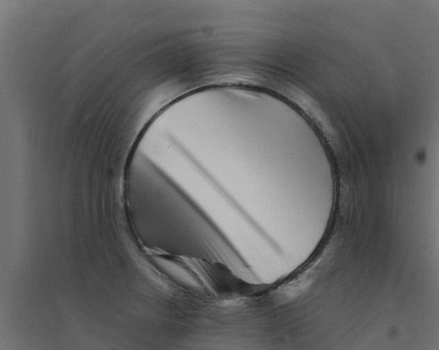 X0000094181234200711241546
