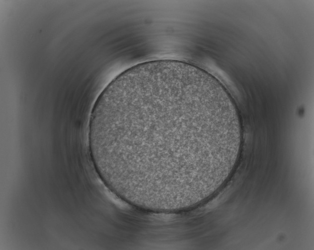 X0000094181236200711241546