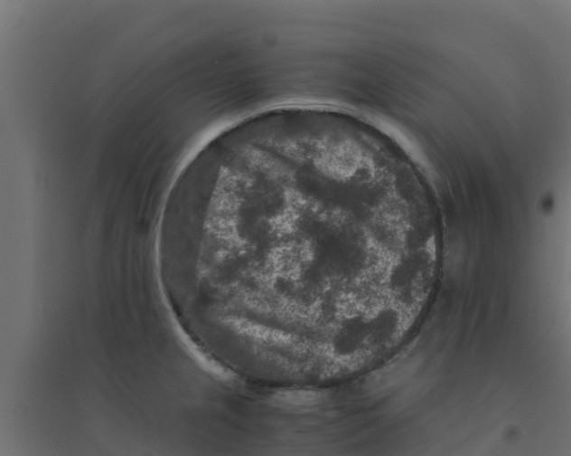 X0000094181237200711241546