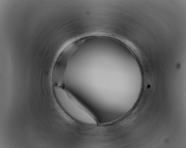 X0000094181238200711241546