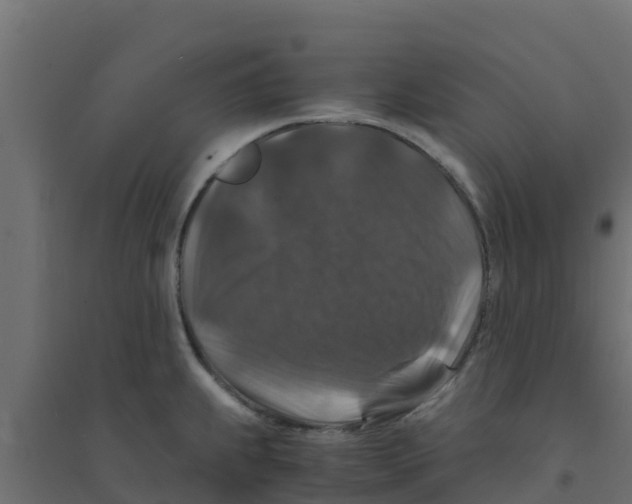 X0000094181239200711241546