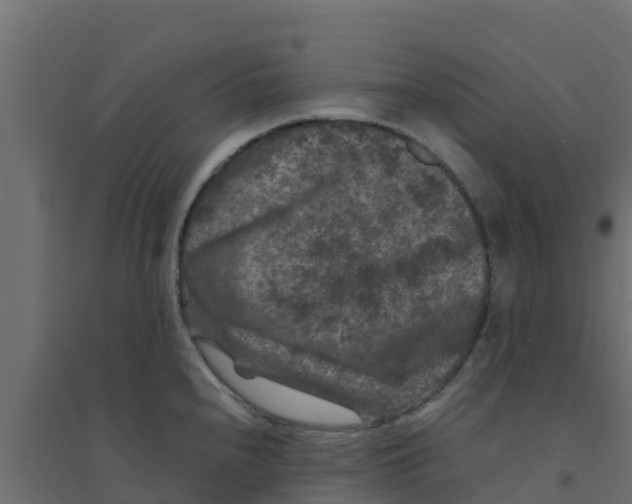 X0000094181240200711241546