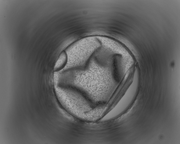 X0000094181241200711241546