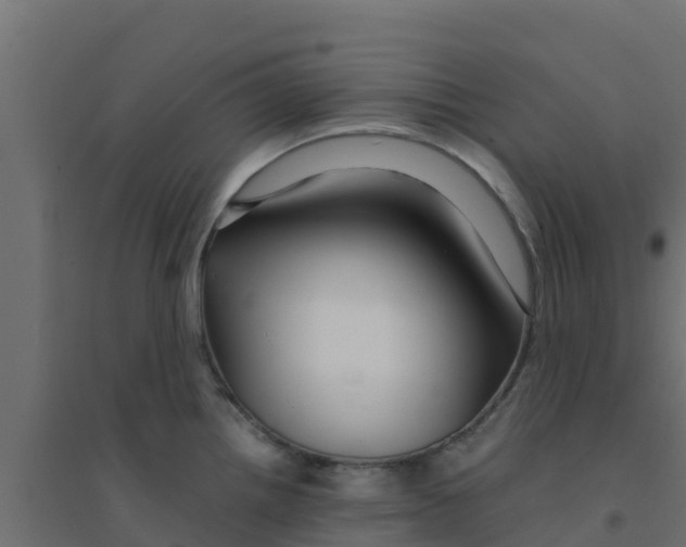 X0000094181242200711241546