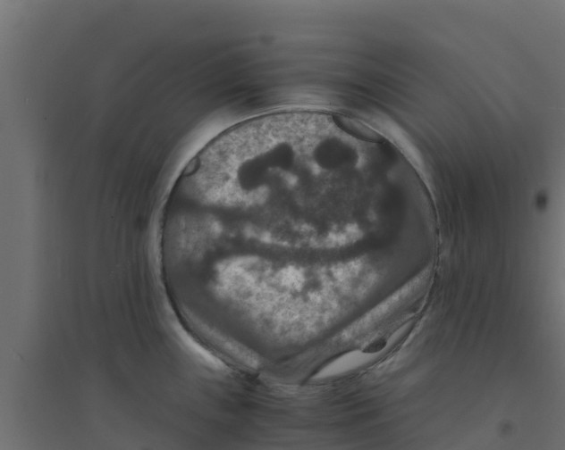 X0000094181243200711241546