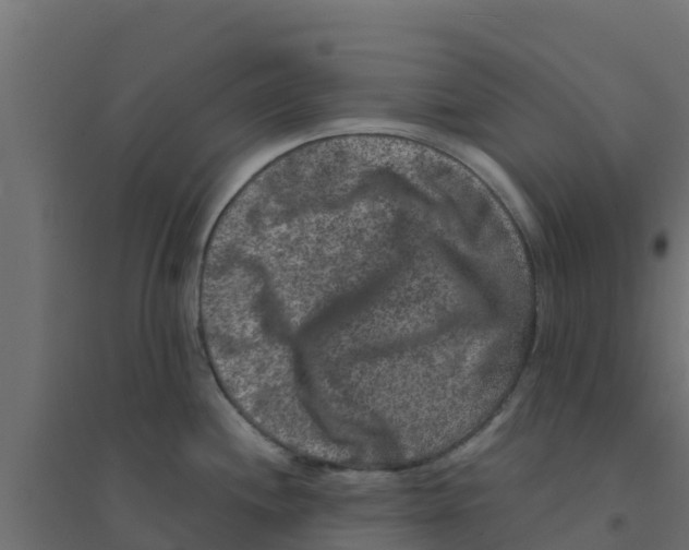 X0000094181244200711241546