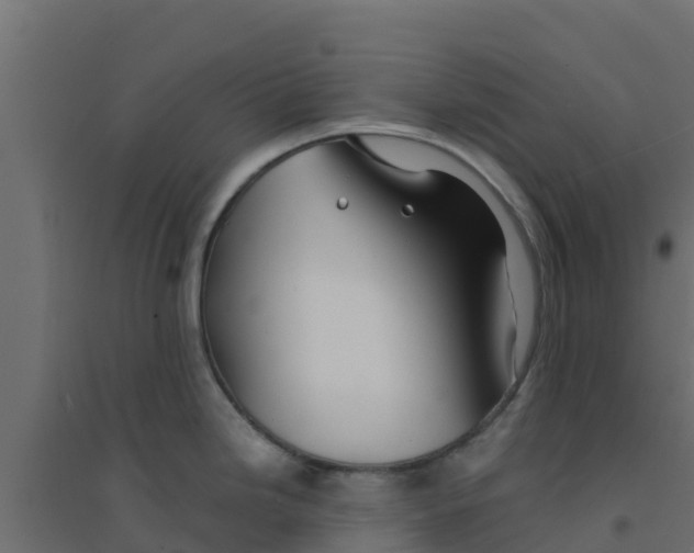 X0000094181246200711241546