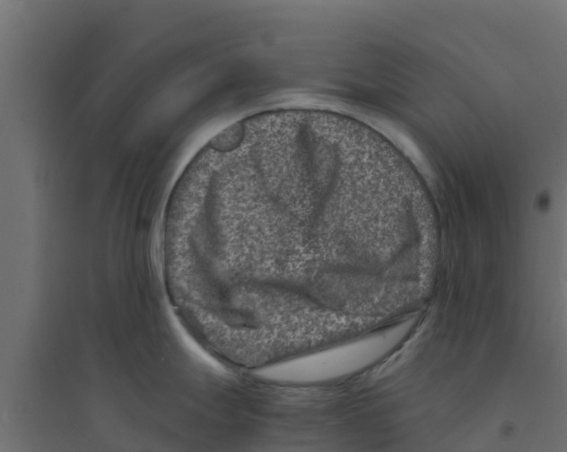 X0000094181247200711241546