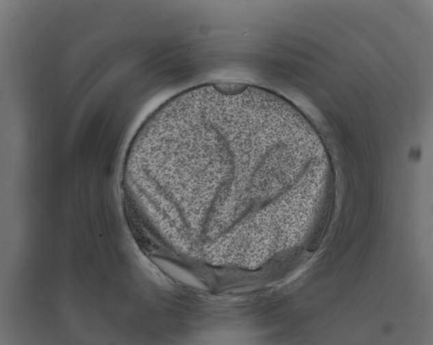 X0000094181248200711241546