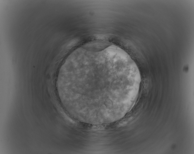 X0000094181249200711241545