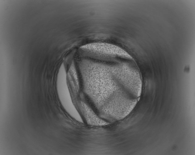 X0000094181250200711241545