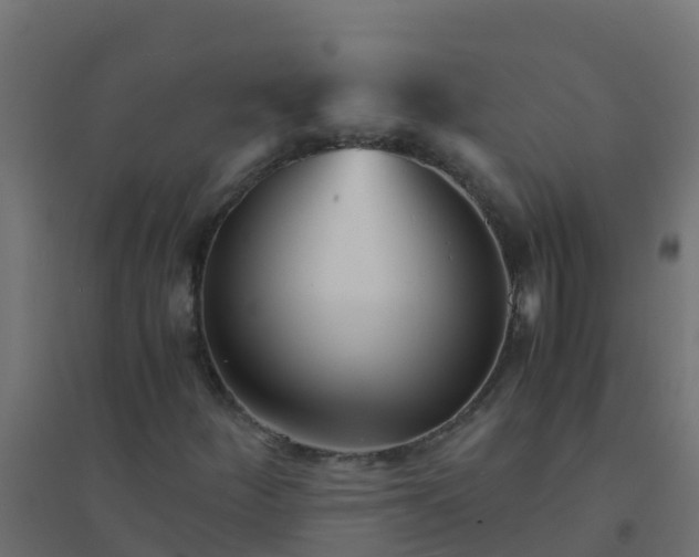 X0000094181252200711241545