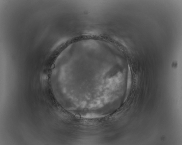 X0000094181254200711241545
