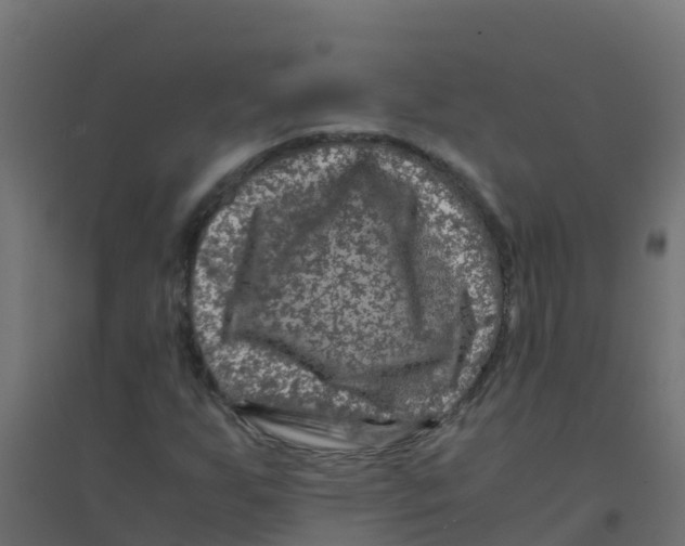X0000094181255200711241545