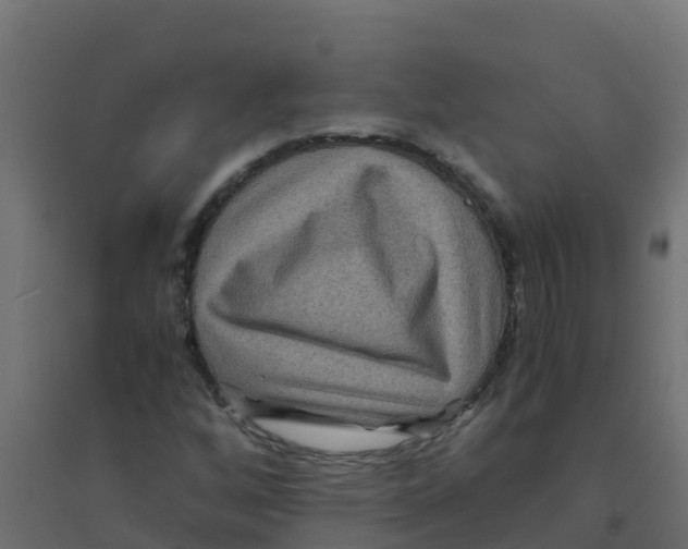 X0000094181256200711241545