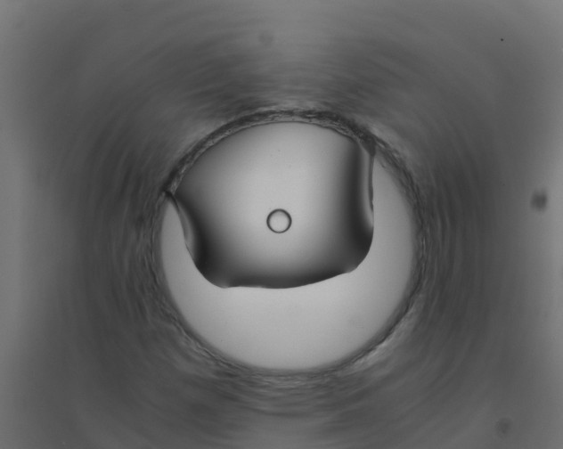 X0000094181257200711241545