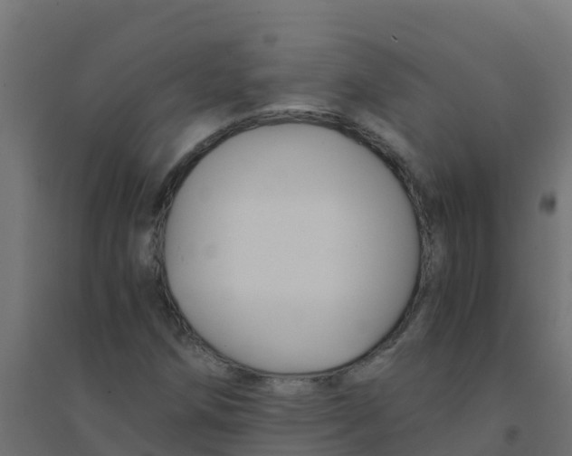 X0000094181258200711241545