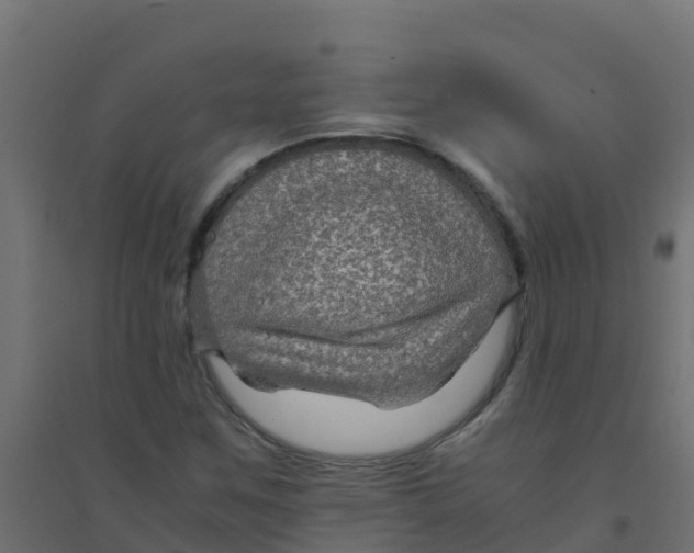 X0000094181259200711241545