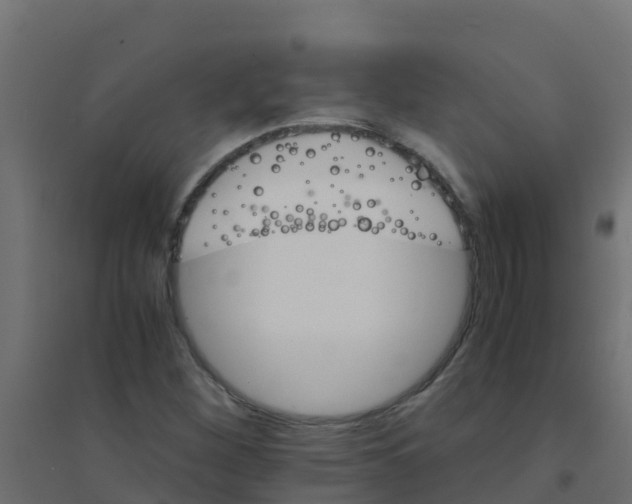 X0000094181260200711241545