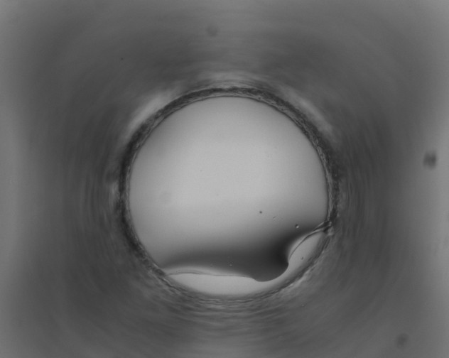 X0000094181261200711241545