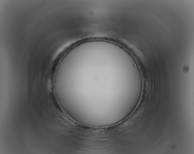 X0000094181262200711241545
