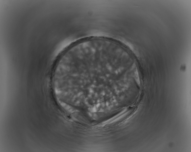X0000094181263200711241545