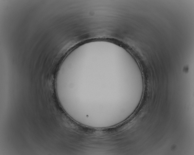 X0000094181265200711241545