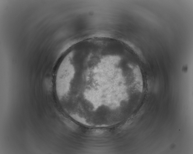 X0000094181266200711241545