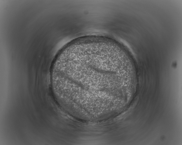 X0000094181267200711241545