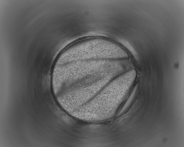 X0000094181268200711241545