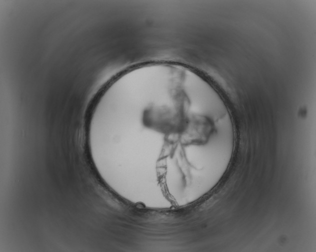 X0000094181270200711241545